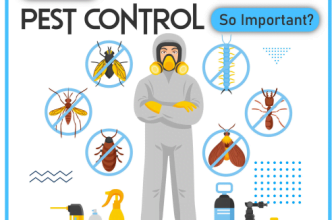 Waarom is ongediertebestrijding zo belangrijk?